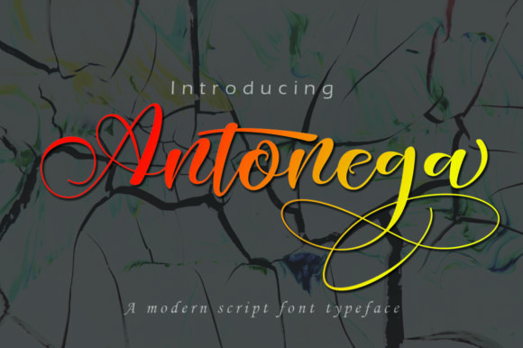 Antonega: The Elegant Script Font for Your Brand