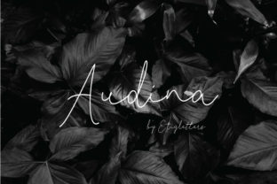 Audina Font: The Sweet Touch Your Brand Needs