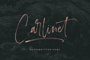 Carlinet: A Sophisticated Script Typeface for Branding