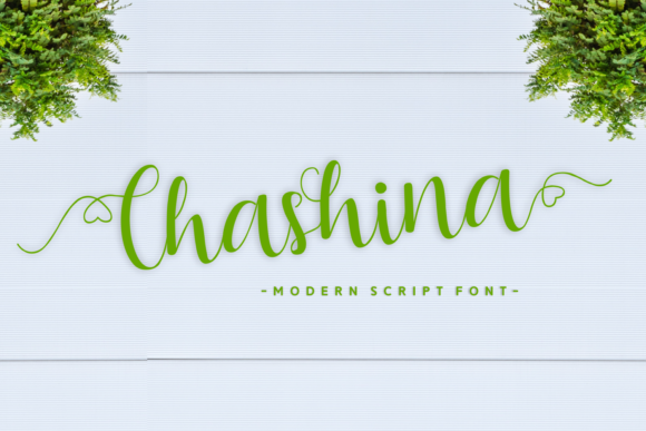 Chashina: The Handwritten Font That Elevates Campaign Design