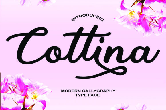 Cottina: A Designer's Review for Real Branding Projects