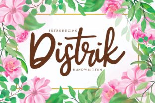 Distrik Font: A Playful Typeface for Modern Brand Identity