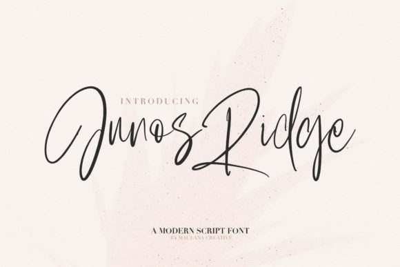 Junos Ridge: A Bold Script Typeface for Editorial Design