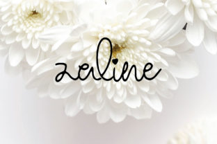 Zaline: A Sweet Script Font for Modern Editorial Design